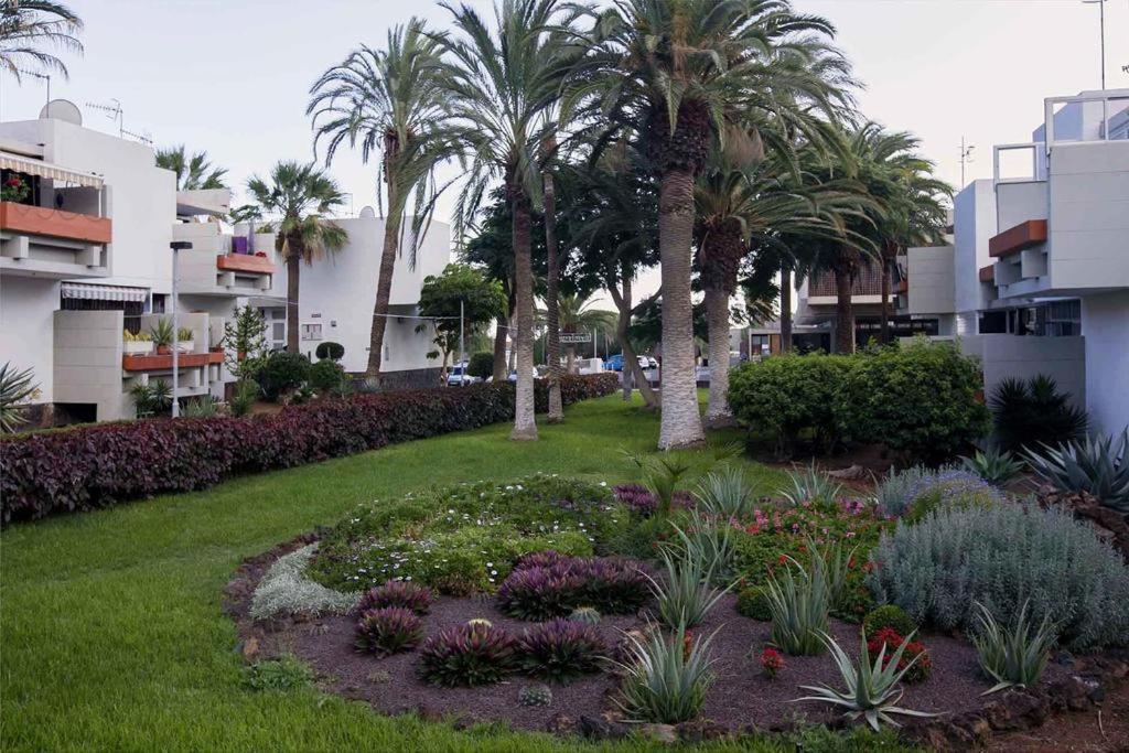 Apartament Frontera-Primavera Apartman Costa Del Silencio Kültér fotó